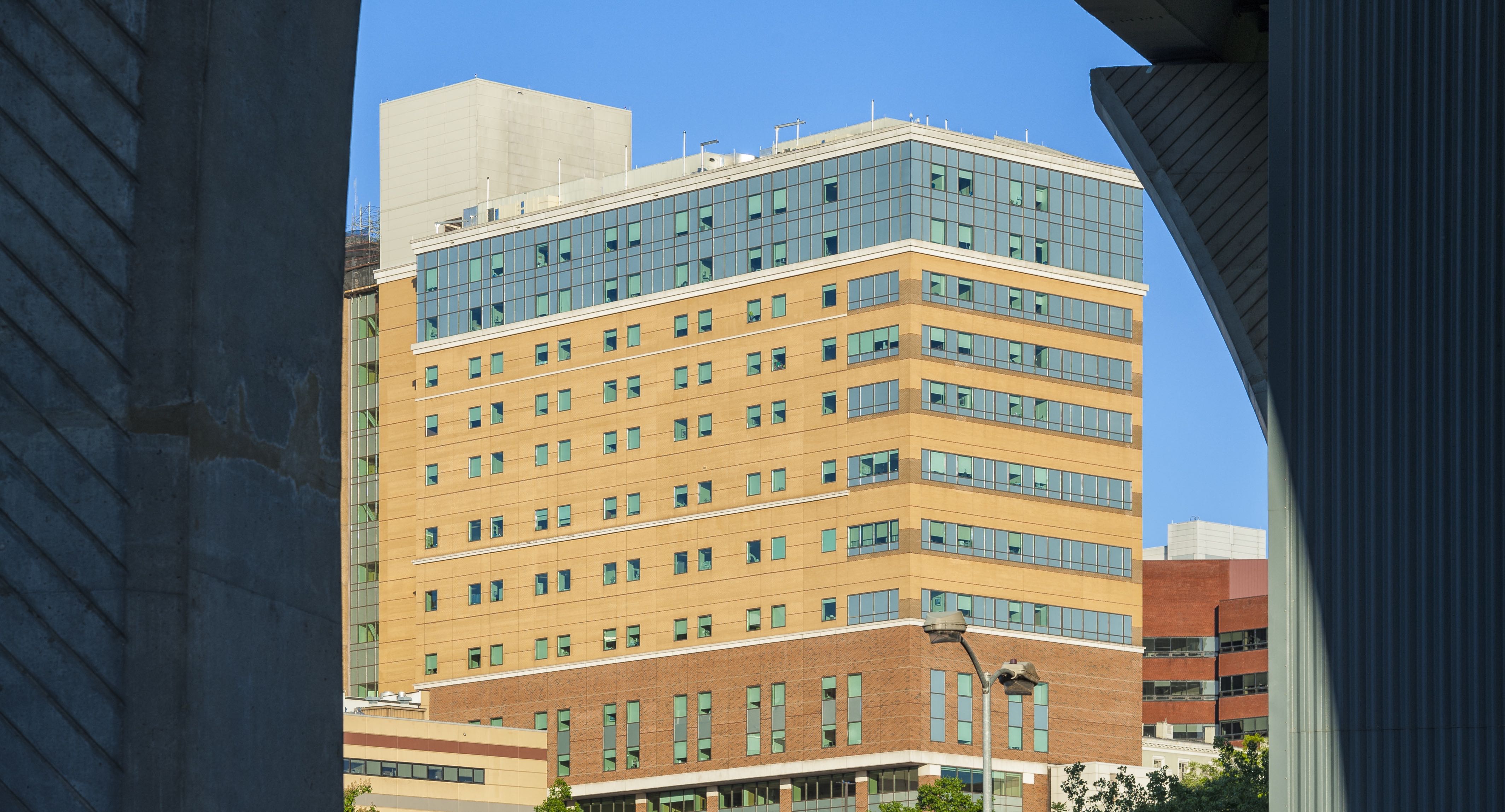 Mesothelioma Vcu Massey Comprehensive Cancer Center Vcu Massey Comprehensive Cancer Center