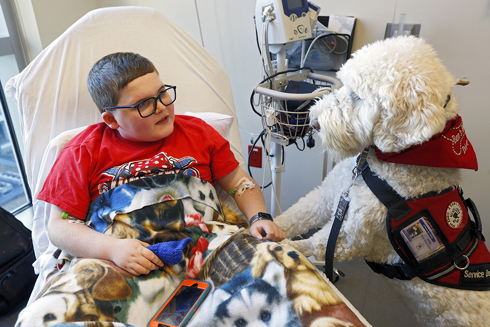 CHoR patient Ben and his service dog Divina in the clinic room at CHoR