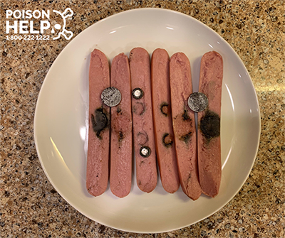 Hot dogs representing the esophagus with burns from button batteries