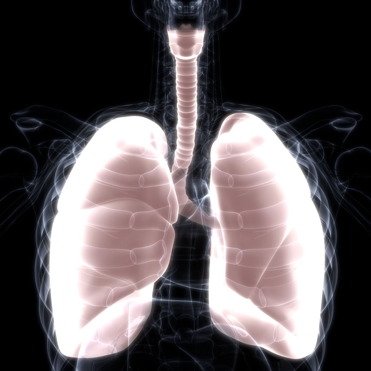 cystic fibrosis research