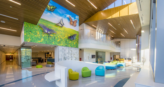 Vtcc Cmhrc Lobby